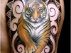 tiger-tattoos-on-arm